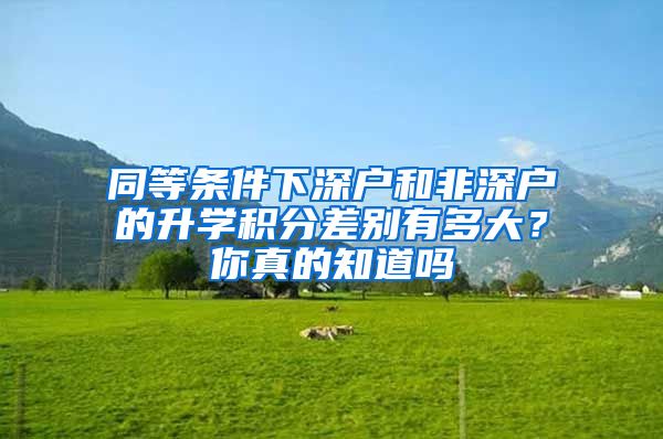 同等条件下深户和非深户的升学积分差别有多大？你真的知道吗