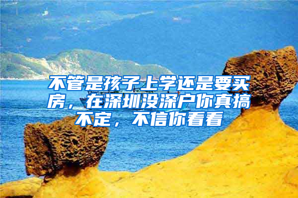不管是孩子上学还是要买房，在深圳没深户你真搞不定，不信你看看