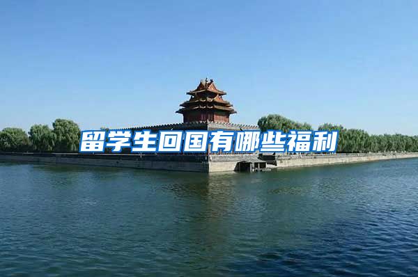 留学生回国有哪些福利