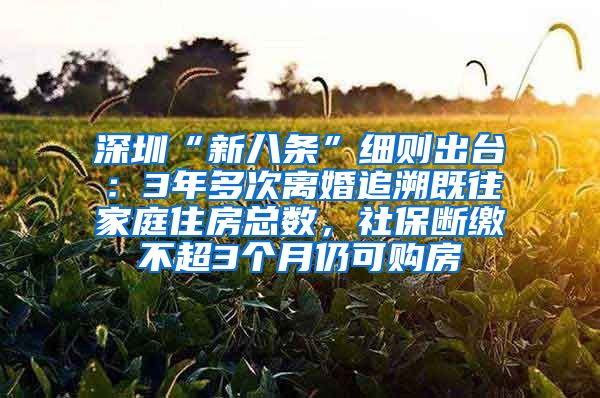 深圳“新八条”细则出台：3年多次离婚追溯既往家庭住房总数，社保断缴不超3个月仍可购房