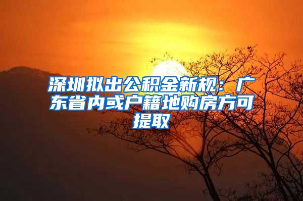 深圳拟出公积金新规：广东省内或户籍地购房方可提取