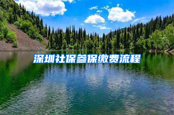 深圳社保参保缴费流程
