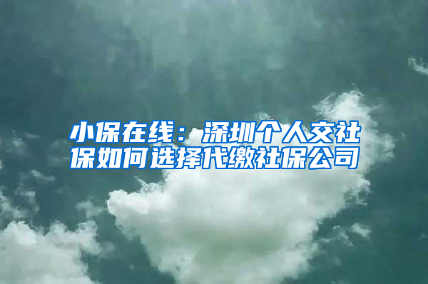 小保在线：深圳个人交社保如何选择代缴社保公司