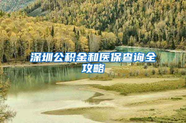 深圳公积金和医保查询全攻略
