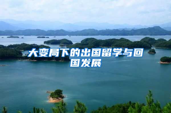 大变局下的出国留学与回国发展