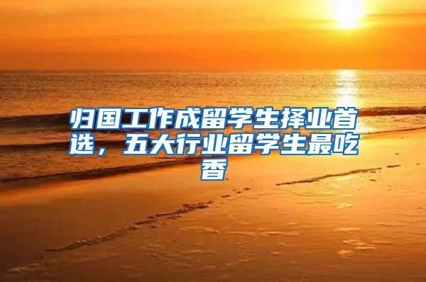 归国工作成留学生择业首选，五大行业留学生最吃香