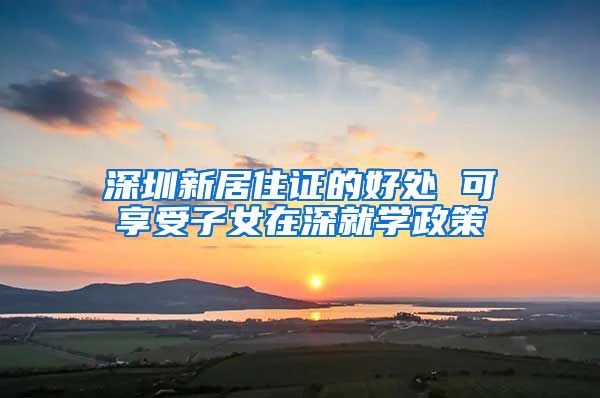 深圳新居住证的好处 可享受子女在深就学政策