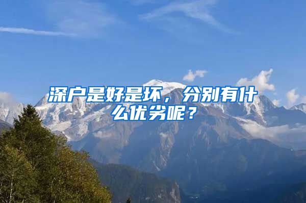 深户是好是坏，分别有什么优劣呢？