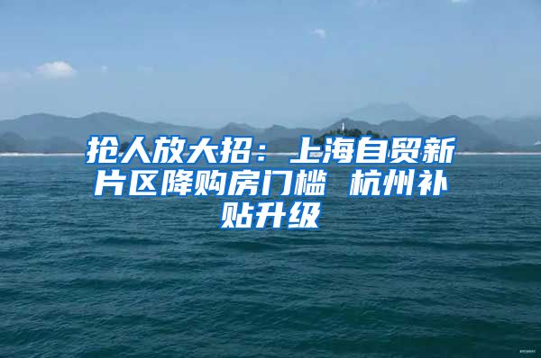 抢人放大招：上海自贸新片区降购房门槛 杭州补贴升级