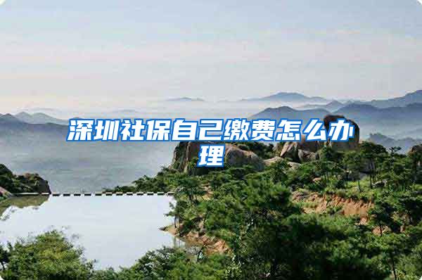 深圳社保自己缴费怎么办理