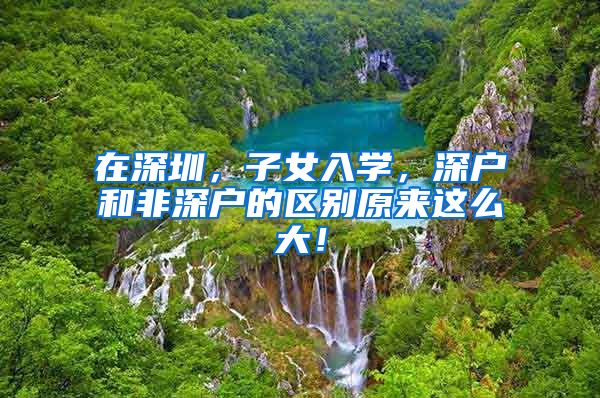 在深圳，子女入学，深户和非深户的区别原来这么大！