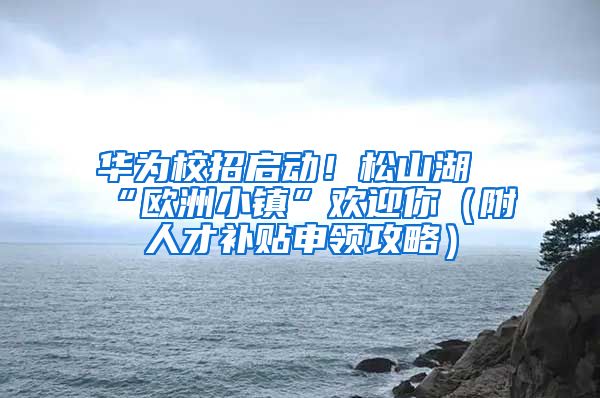 华为校招启动！松山湖“欧洲小镇”欢迎你（附人才补贴申领攻略）