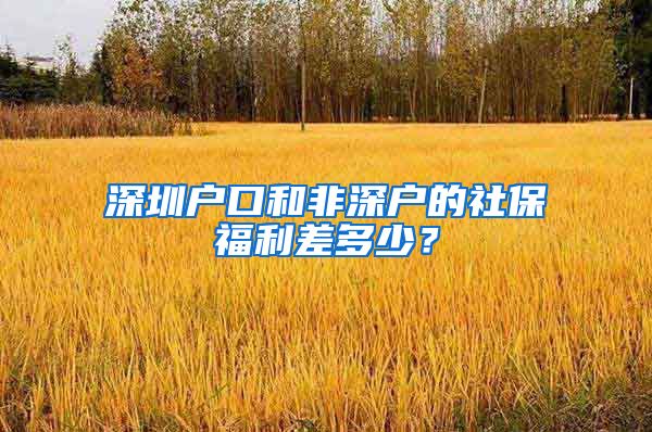 深圳户口和非深户的社保福利差多少？