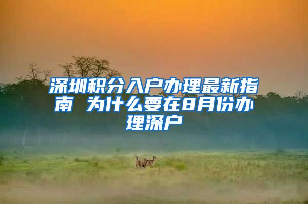 深圳积分入户办理最新指南 为什么要在8月份办理深户
