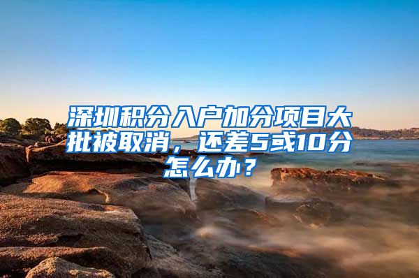 深圳积分入户加分项目大批被取消，还差5或10分怎么办？