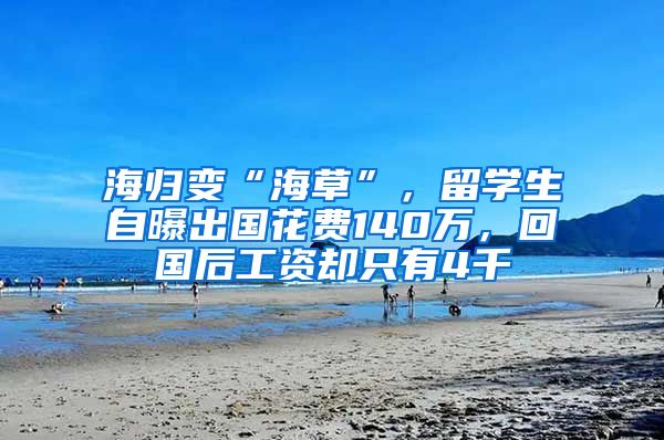 海归变“海草”，留学生自曝出国花费140万，回国后工资却只有4千