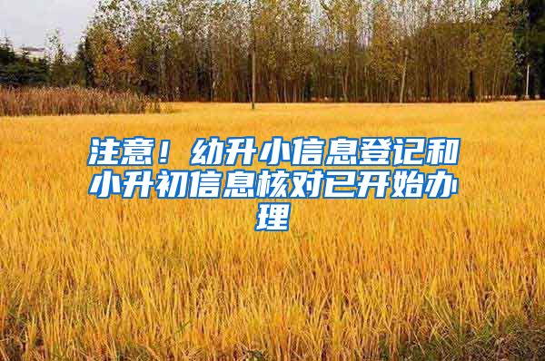 注意！幼升小信息登记和小升初信息核对已开始办理