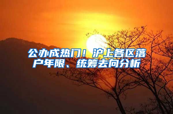公办成热门！沪上各区落户年限、统筹去向分析