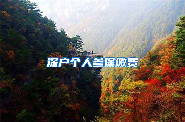 深户个人参保缴费