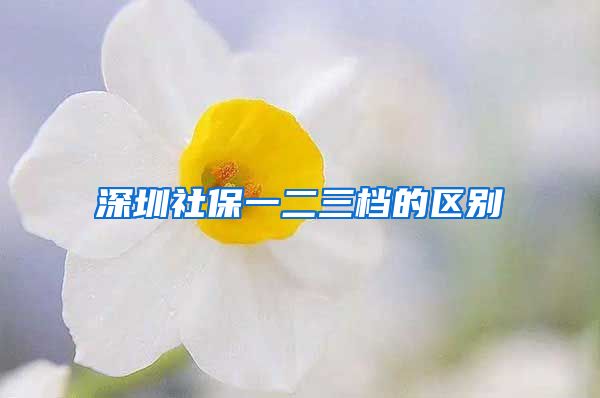 深圳社保一二三档的区别