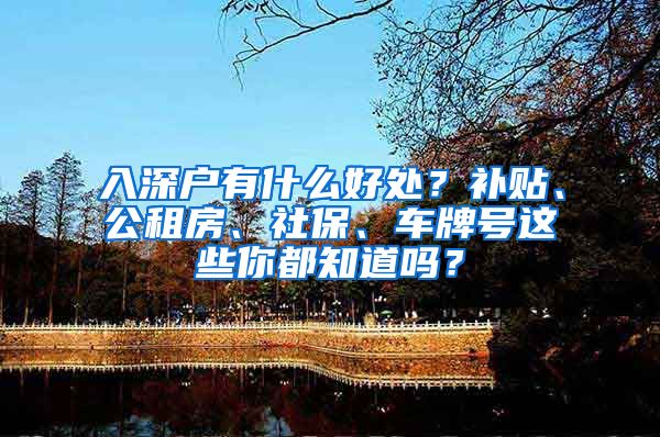 入深户有什么好处？补贴、公租房、社保、车牌号这些你都知道吗？