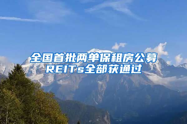 全国首批两单保租房公募REITs全部获通过