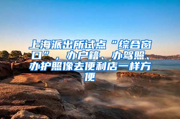 上海派出所试点“综合窗口”，办户籍、办驾照、办护照像去便利店一样方便