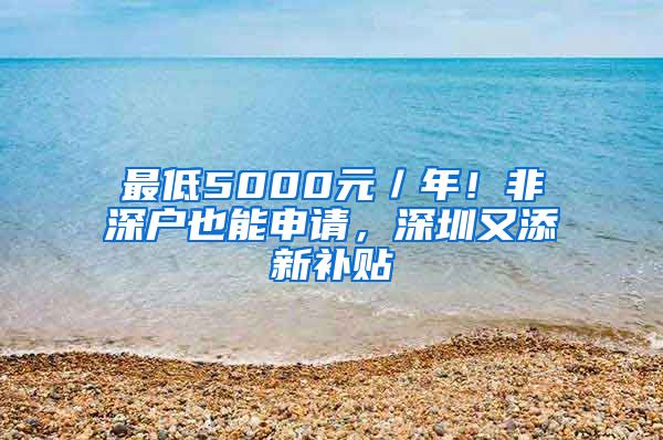 最低5000元／年！非深户也能申请，深圳又添新补贴