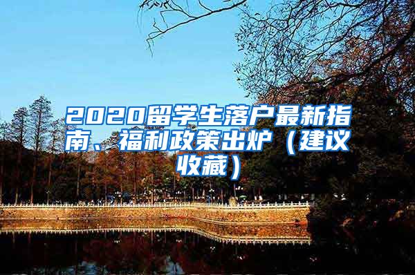 2020留学生落户最新指南、福利政策出炉（建议收藏）