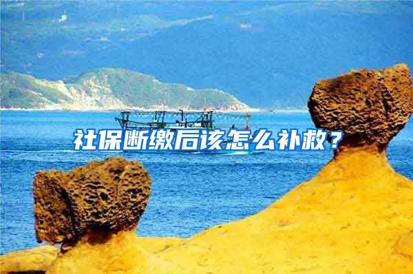 社保断缴后该怎么补救？