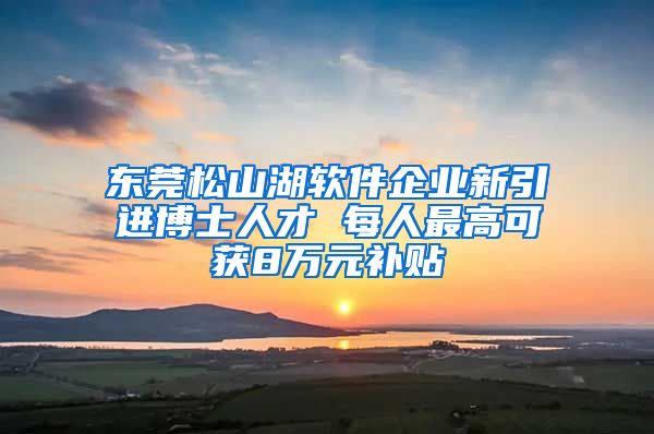 东莞松山湖软件企业新引进博士人才 每人最高可获8万元补贴