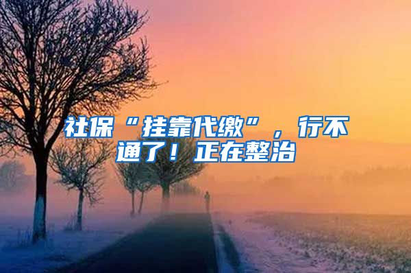 社保“挂靠代缴”，行不通了！正在整治