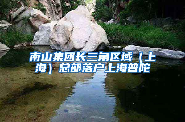 南山集团长三角区域（上海）总部落户上海普陀