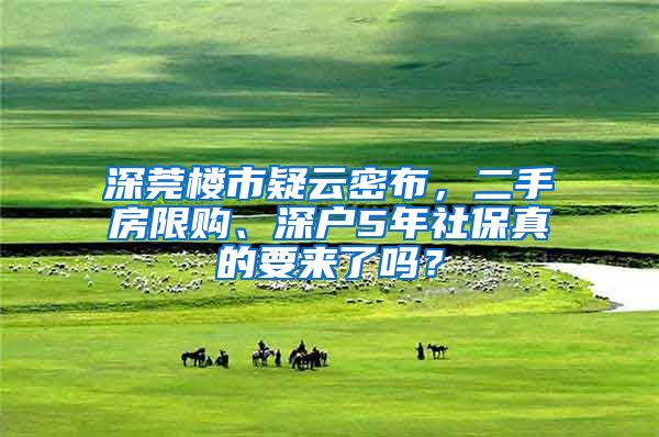 深莞楼市疑云密布，二手房限购、深户5年社保真的要来了吗？