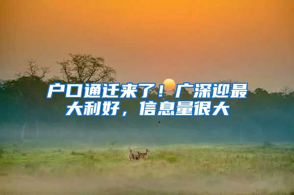 户口通迁来了！广深迎最大利好，信息量很大