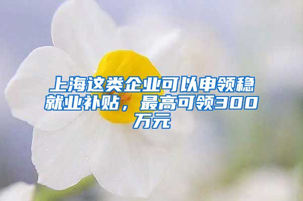 上海这类企业可以申领稳就业补贴，最高可领300万元
