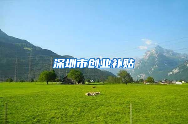 深圳市创业补贴