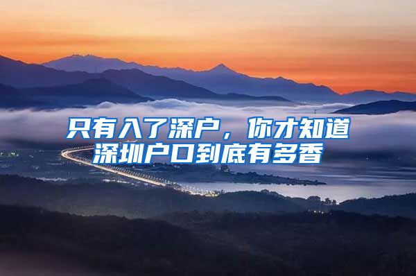 只有入了深户，你才知道深圳户口到底有多香