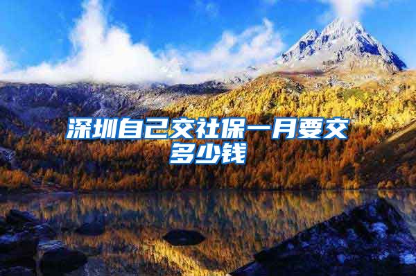 深圳自己交社保一月要交多少钱