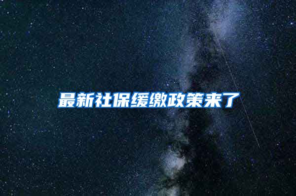 最新社保缓缴政策来了