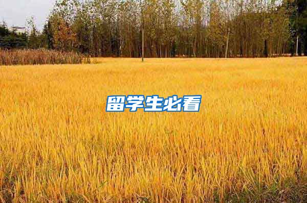 留学生必看
