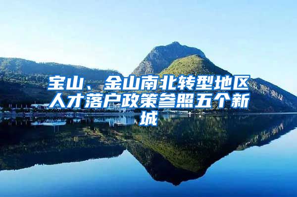 宝山、金山南北转型地区人才落户政策参照五个新城