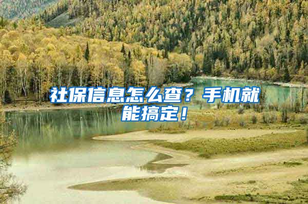 社保信息怎么查？手机就能搞定！