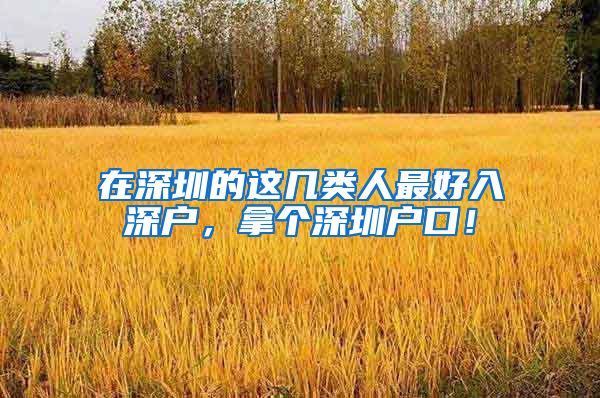 在深圳的这几类人最好入深户，拿个深圳户口！