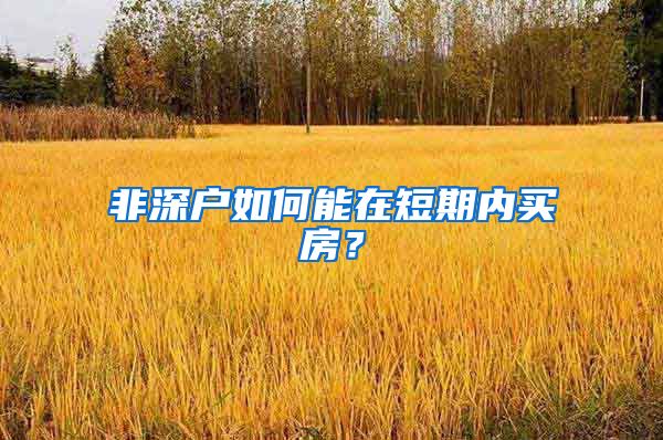 非深户如何能在短期内买房？