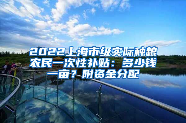 2022上海市级实际种粮农民一次性补贴：多少钱一亩？附资金分配