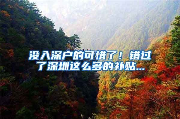 没入深户的可惜了！错过了深圳这么多的补贴...