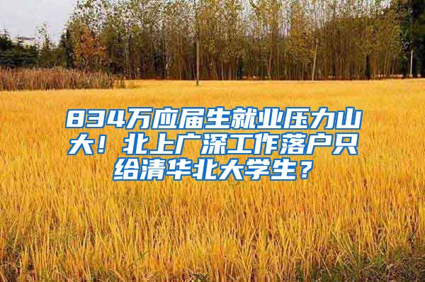 834万应届生就业压力山大！北上广深工作落户只给清华北大学生？