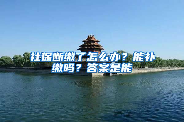 社保断缴了怎么办？能补缴吗？答案是能