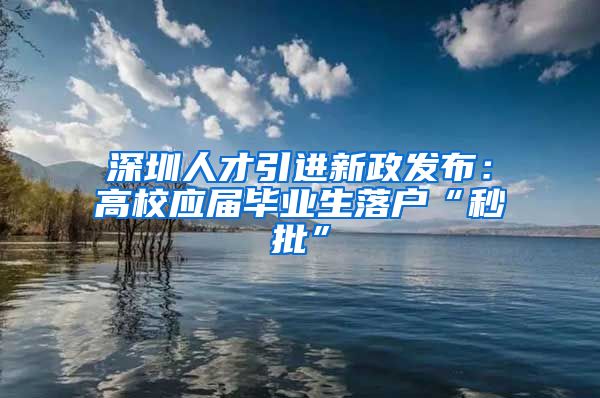 深圳人才引进新政发布：高校应届毕业生落户“秒批”